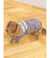 【CAT&DOG】【販路限定商品】ベビモコネップdogプルオーバー