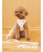 【CAT&DOG】【販路限定商品】モチーフ柄リード