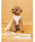 【CAT&DOG】【販路限定商品】モチーフ柄リード