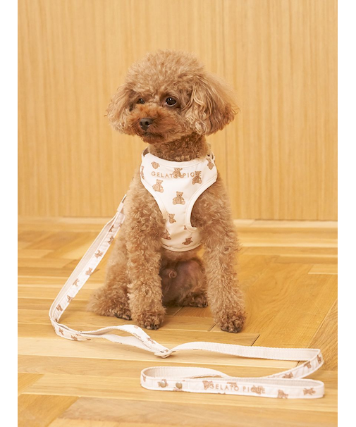 【CAT&DOG】【販路限定商品】モチーフ柄リード