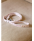 【CAT&DOG】【販路限定商品】モチーフ柄リード