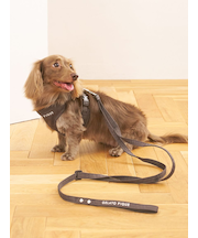 【CAT&DOG】【販路限定商品】リード