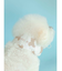 【CAT&DOG】【販路限定商品】COOLネックカバー