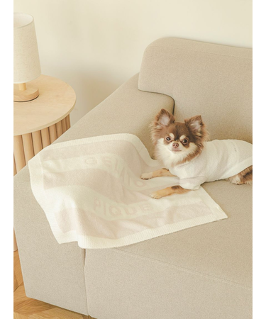 【CAT&DOG】スムーズィー2ボーダーブランケット