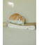 【CAT&DOG】ねこ柄つめとぎ