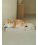 PNK