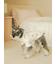 【CAT&DOG】パンダ柄プルオーバー