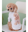 【CAT&DOG】トイプードルジャガードハイネックプルオーバー