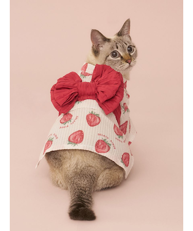【CAT&DOG】浴衣