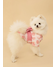 PNK