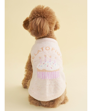 【CAT&DOG】【Birthday】スムーズィーカップケーキジャガードプルオーバー