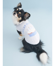【CAT&DOG】【Birthday】スムーズィーカップケーキジャガードプルオーバー