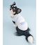 【CAT&DOG】【Birthday】スムーズィーカップケーキジャガードプルオーバー