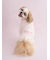 【CAT&DOG】【Birthday】スムーズィーカップケーキジャガードプルオーバー