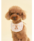 【CAT&DOG】【Birthday】スムーズィーバースデースタイ