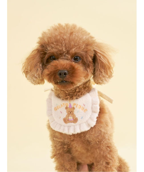 【CAT&DOG】【Birthday】スムーズィーバースデースタイ
