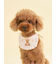 【CAT&DOG】【Birthday】スムーズィーバースデースタイ