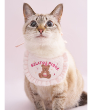 【CAT&DOG】【Birthday】スムーズィーバースデースタイ