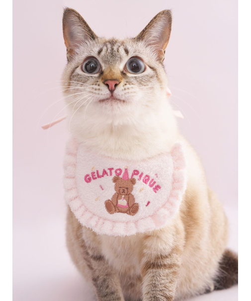 【CAT&DOG】【Birthday】スムーズィーバースデースタイ