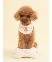 【CAT&DOG】【Birthday】ボーントイ