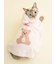 【CAT&DOG】【Birthday】スムーズィーケープ