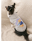 【CAT&DOG】スポーティーベア裏毛プルオーバー