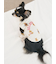 【CAT&DOG】スポーティーベア柄カットソープルオーバー