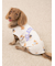【CAT&DOG】スポーティーベア柄カットソープルオーバー