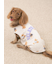 【CAT&DOG】スポーティーベア柄カットソープルオーバー