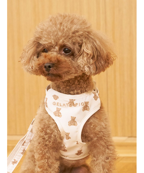 【CAT&DOG】背中あきハーネス