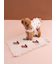 【CAT&DOG】オータムケーキジャガードブランケット