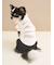 【CAT&DOG】オータムケーキジャガードプルオーバー
