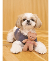 【CAT&DOG】ベアトイ