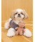 【CAT&DOG】ベアトイ