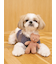 【CAT&DOG】ベアトイ