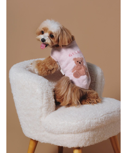 CAT&DOG】オータムケーキジャガードプルオーバー｜ジェラートピケの