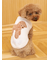 【CAT&DOG】スムーズィートイプードル柄ジャガードプルオーバー
