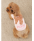 【CAT&DOG】スムーズィートイプードル柄ジャガードプルオーバー