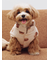 【CAT&DOG】中綿ベスト