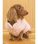 【CAT&DOG】中綿ベスト