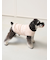 【CAT&DOG】ベビモコXLサイズネッププルオーバー