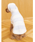 【CAT&DOG】スムーズィー２ボーダーフーディー