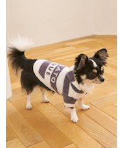 【CAT&DOG】スムーズィー２ボーダーフーディー