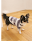 【CAT&DOG】スムーズィー２ボーダーフーディー