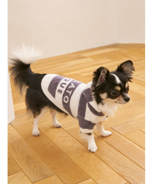 【CAT&DOG】スムーズィー２ボーダーフーディー