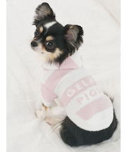 【CAT&DOG】スムーズィー２ボーダーフーディー