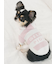 【CAT&DOG】スムーズィー２ボーダーフーディー