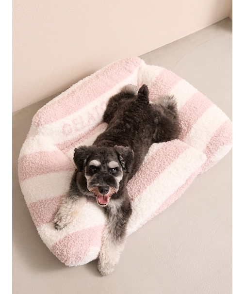 【CAT&DOG】ジェラートソファ型ベッドL