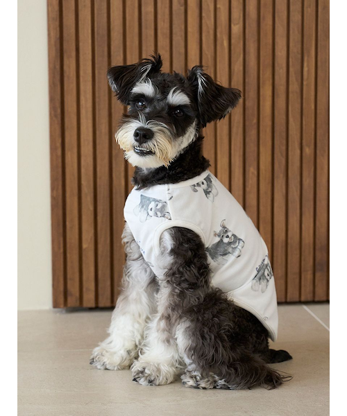 ジェラートピケ【CAT&DOG】シュナウザー柄カットソープルオーバー CAT&DOG】シュナウザー柄カットソープルオーバー｜ジェラート