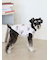 【CAT&DOG】シュナウザー柄カットソープルオーバー